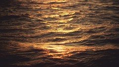 Sea water ocean waves sunlight waterscapes