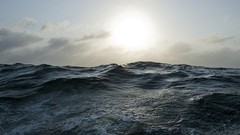 Sea water panorama