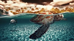 Sea water Sharks palm trees turtles artwork split-view