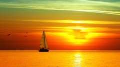 Sea water sun ocean red Men woman Birds Boats sunlight scape 