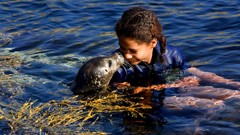 Seals wet swimming wet