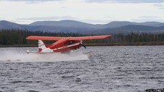 Seaplane de Havilland Canada DHC-2 Beaver