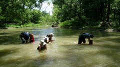 Searching The sydenham river