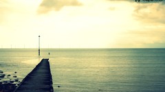 Seaside path walk sealife