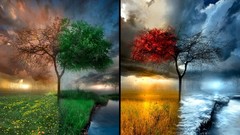 Seasons