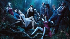 Seasons True Blood