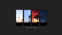 Seasons widescreen abstract