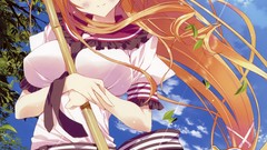 Seifuku hoshizora e kakaru hashi Toudou Tsumugi