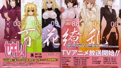 Sekirei
