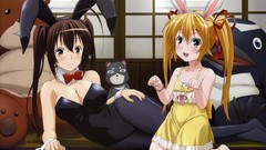 Sekirei animal ears bunny