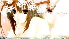 Sekirei Anime anime girls