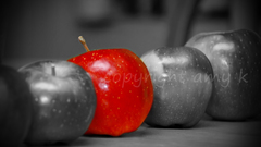 Selective coloring apples