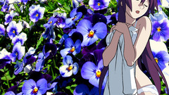 Senjougahara hitagi Anime bakemonogatari