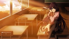 Senjougahara hitagi monogatari series