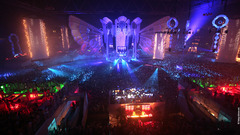 Sensation White looking for