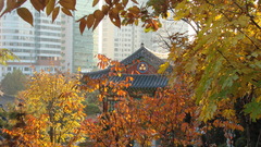 Seoul temple World