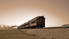 Sepia trains