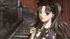 Series Anime fate Stay