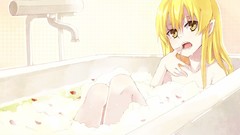 Series blondes bakemonogatari nisemonogatari oshino shinobu