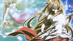 Seto no Hanayome Anime