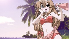 Seto no Hanayome Anime