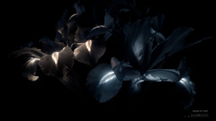 Shades light Gallery Art