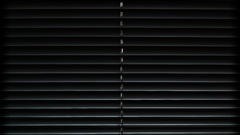 Shades sort of related