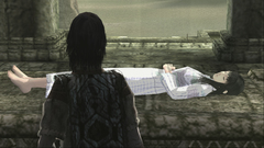 Shadow of the Colossus