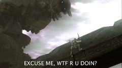 Shadow of the Colossus