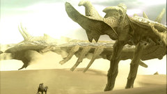 Shadow of the Colossus