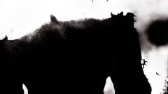 Shadow of the Colossus