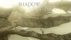 Shadow of The colossus