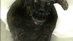 Shadow of The colossus