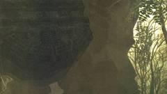 Shadow of The colossus