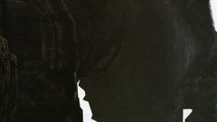 Shadow of The colossus