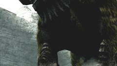 Shadow of The colossus