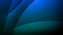 Shadows posting Made