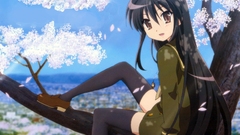 Shakugan no shana