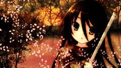 Shakugan no shana sakura