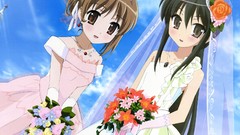 Shakugan no shana shana