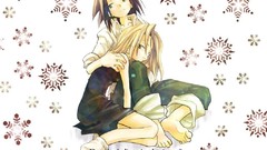 Shaman king