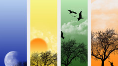 Shameless self bump )