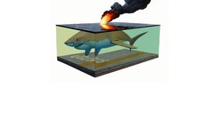 shark fire surreal stop sign artwork white background