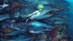 Sharks Anime