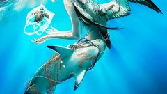 Sharks anime girls artwork