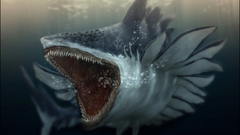 Sharks digital art artwork