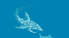 Sharks nice artwork Art