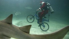 Sharks santa claus underwater