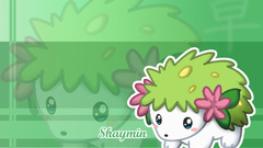 Shaymin heres Manga Anime