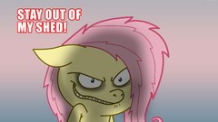 Shed memes Fluttershy memes wallpaper
